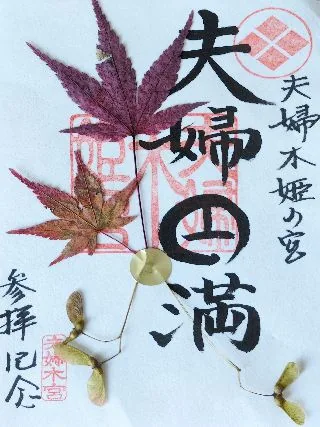 夫婦木神社 姫の宮【甲府市】の御朱印
