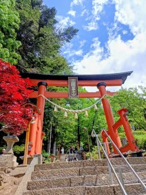 新倉富士浅間神社の朱色の鳥居