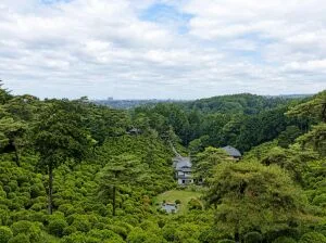 塩船観音寺の境内とつつじ園を見渡した景色