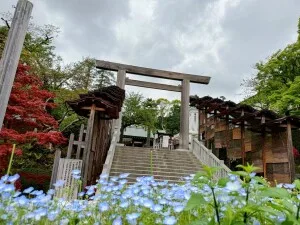 横浜・野毛ルートの伊勢山皇大神宮