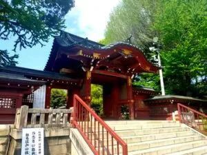 【秩父神社】知恵とパワーをもらいに秩父神社へ！逃げ出す彫刻？「つなぎの龍」のミステリー
