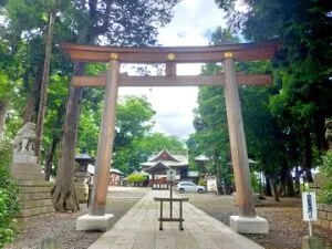 【武水別神社】古代から戦国へ続く祈りの地｜義仲・謙信ゆかりの古社