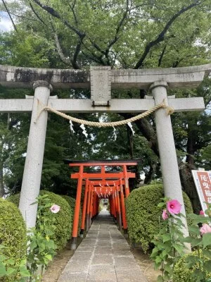 【尾曳稲荷神社】キツネの恩返しで城が建った！？「尾曳稲荷神社」の伝説がアツすぎる！