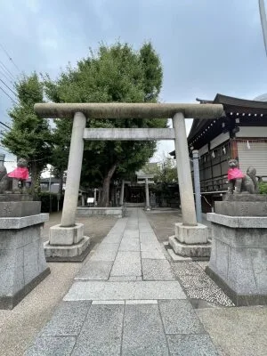 【飛木稲荷神社】スカイツリーの麓に息づく再生の力。「不屈の大銀杏」に会いに行こう