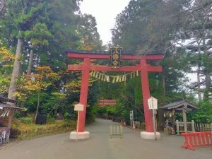 【大崎八幡宮】なぜ政宗はこの神社を作ったのか？｜大崎八幡宮に見る“守る力”の正体