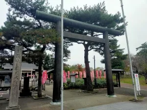 【櫻岡大神宮】なぜ桜の名所に神社がある？｜櫻岡大神宮に見る“都市と祈り”の関係