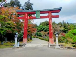 【志波彦神社・鹽竈神社】なぜここは“特別扱い”なのか？二社に見る国家と戦国の交差点