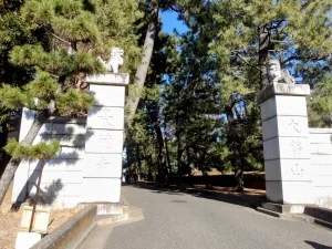 【豪徳寺】 右手、上げすぎ！豪徳寺の「招き猫パラダイス」に圧倒されてきた