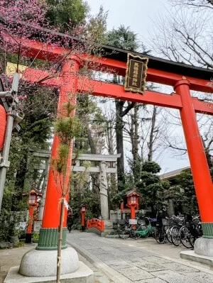 【馬橋稲荷神社】昇り龍にタッチ！阿佐ヶ谷で最強の運気チャージをしてきた話