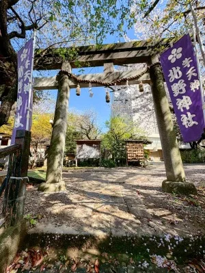 牛天神 北野神社の御朱印|限定御朱印・撫で牛・受付時間・アクセス【東京都文京区】