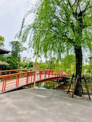 やすらぎ橋