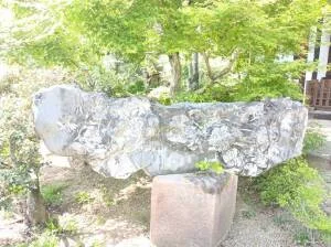大蔵経寺の「菊花石」