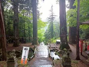 金櫻神社の雨の参道