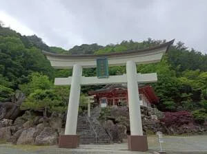夫婦木神社 姫ノ宮の大鳥居