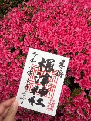 根津神社の御朱印｜千本鳥居・つつじ・受付時間・アクセス【東京都文京区】