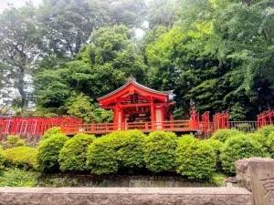 根津神社の「乙女稲荷神社と千本鳥居」