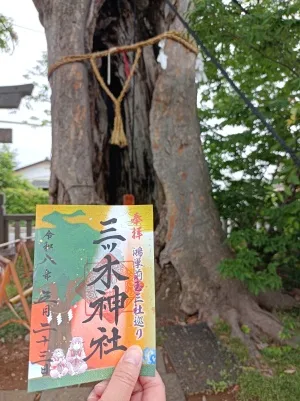 三ツ木神社の御朱印とご神木
