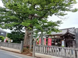 三ツ木神社の石鳥居とご神木
