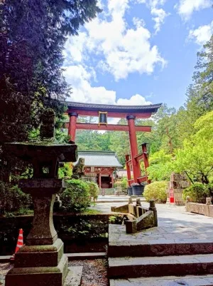 北口本宮冨士浅間神社の富士山大鳥居