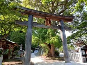 高麗神社の木製鳥居