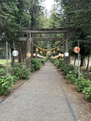 栃木県鹿沼市の磯山神社の鳥居と参道。紫陽花はまだ咲き始めで提灯が並ぶ静かな参道